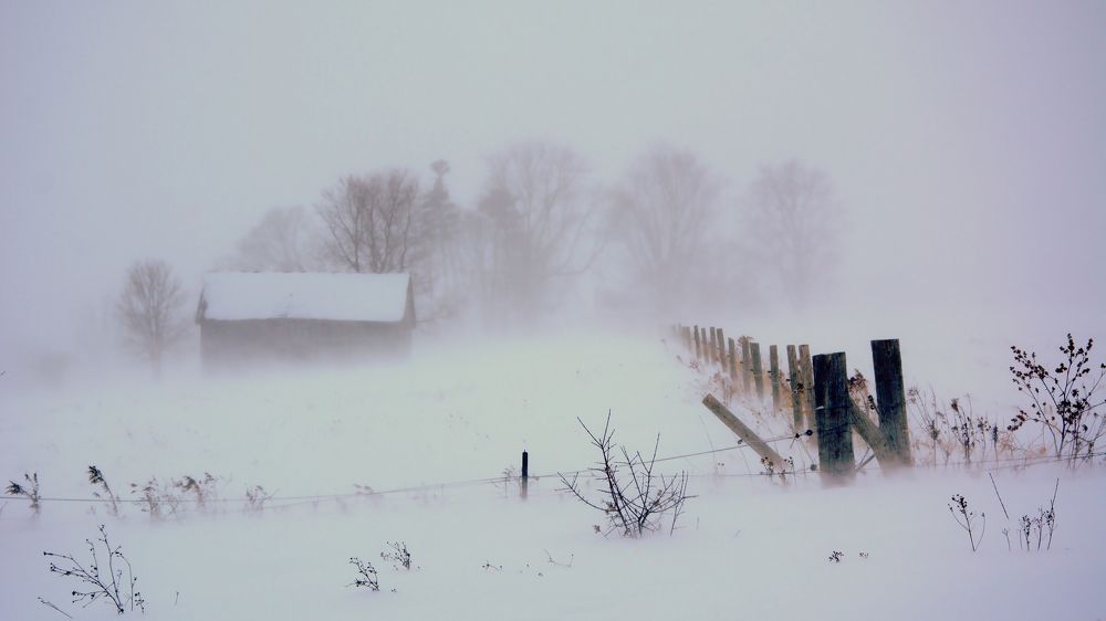 Photograph by Julius Virca (blu signal audio)