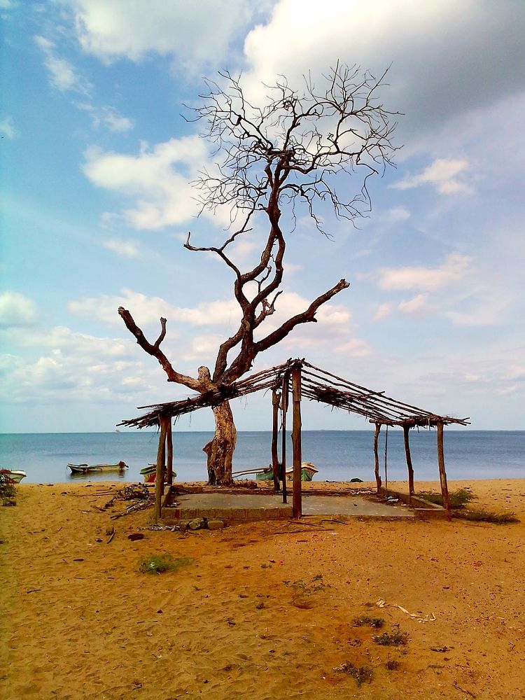 Photograph by Rajini Kanth
