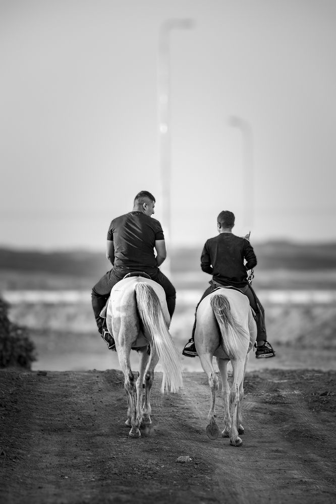 Фотография автора Nikolay Tatarchuk