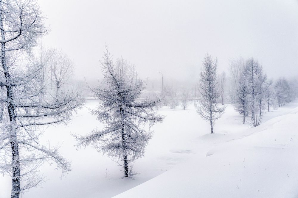 Photograph by Александр Пургин