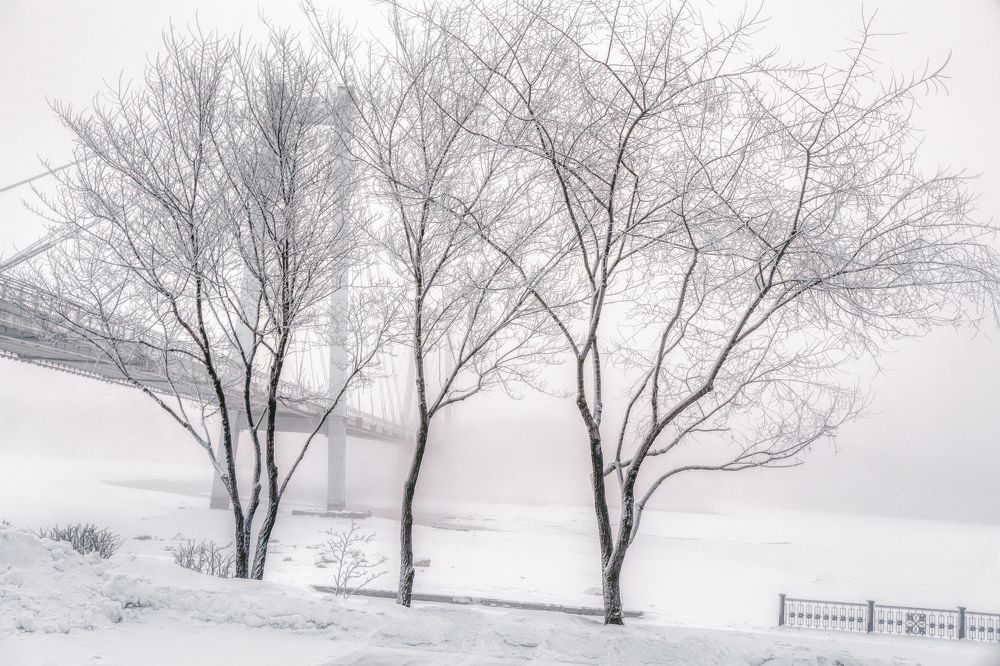 Photograph by Александр Пургин