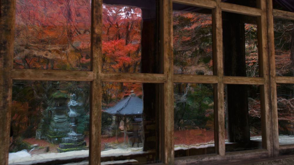 Фотография автора Fumi Taki