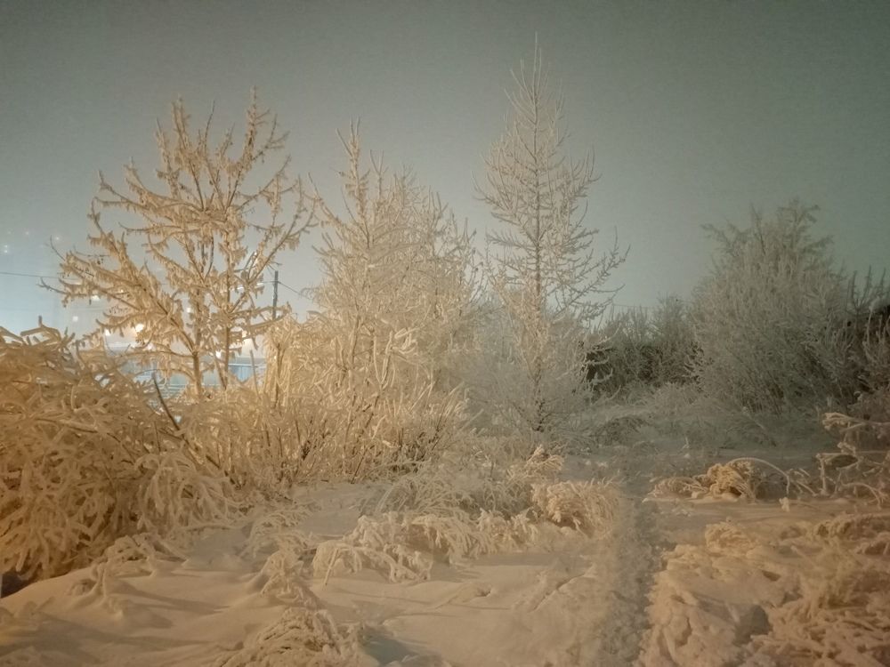 Photo #10009119