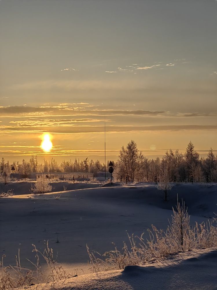 Зимний пейзаж