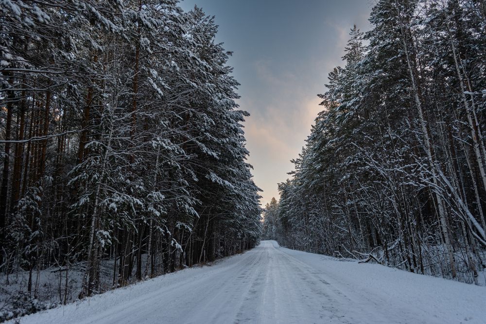 Photograph by Едынак Евгений