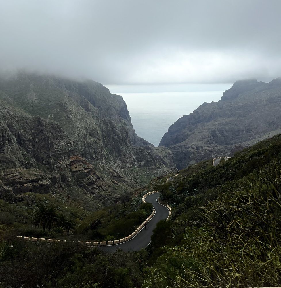 Photograph by Jelena Antonova