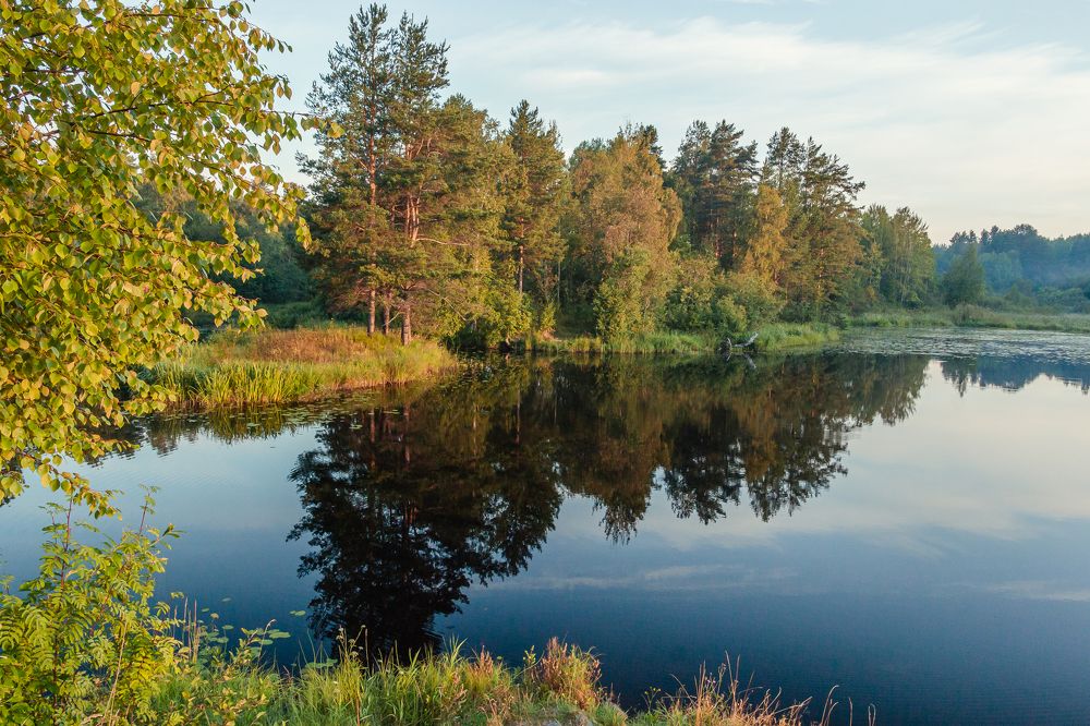 Photograph by Антонина Кузнецова