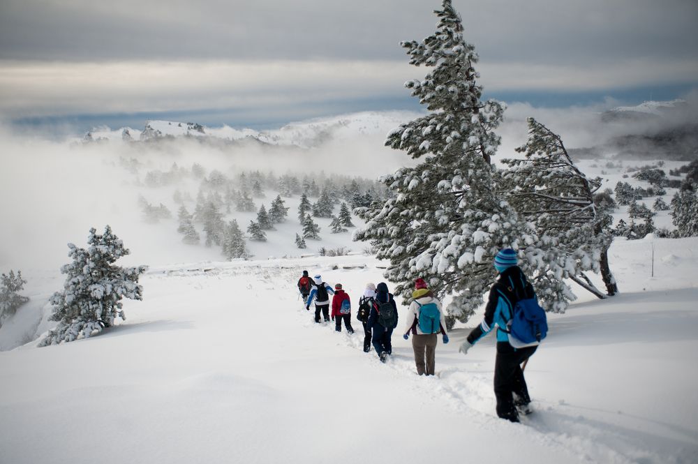 Photograph by Дмитрий Рассыльщиков