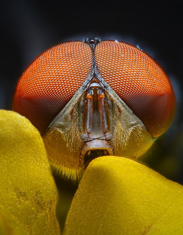 Photograph by Kasun Wickramasinghe