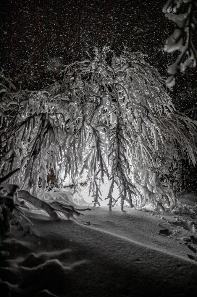 Photograph by Креницина Екатерина