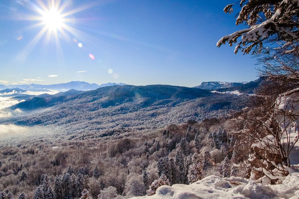 Photograph by Антонина Кузнецова