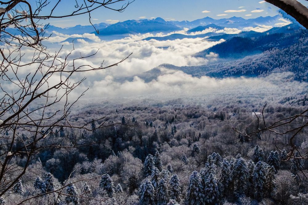 Photograph by Антонина Кузнецова