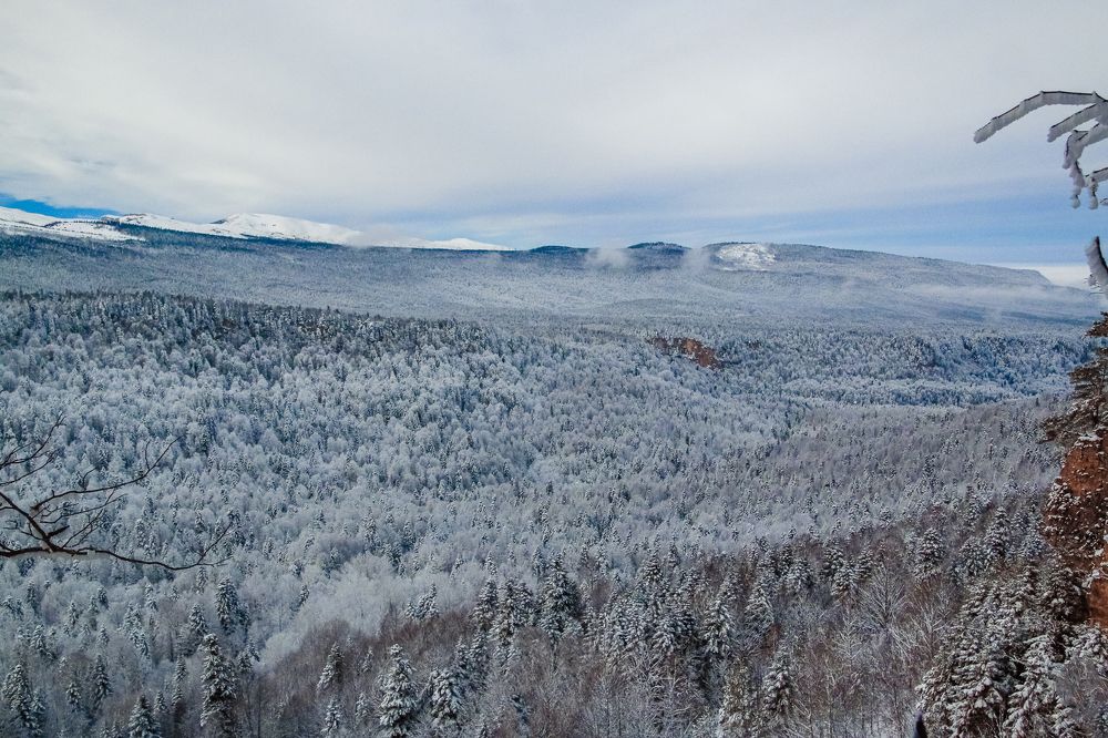 Photograph by Антонина Кузнецова