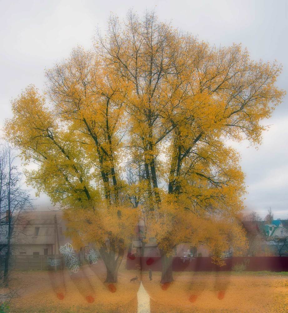 Смотрящая в Осень