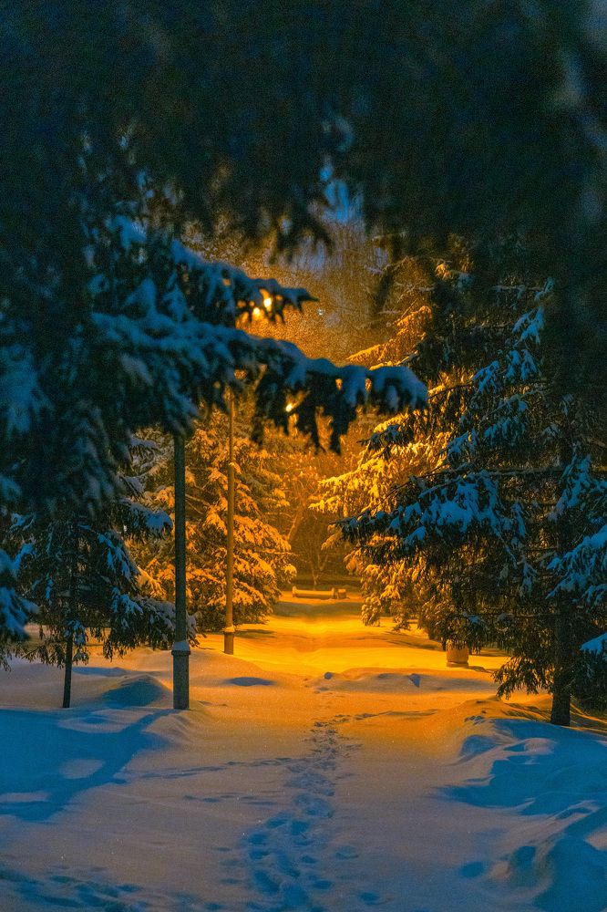 Photograph by Людмила Аксенова