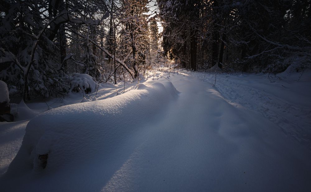 Photograph by Зеленько Дмитрий