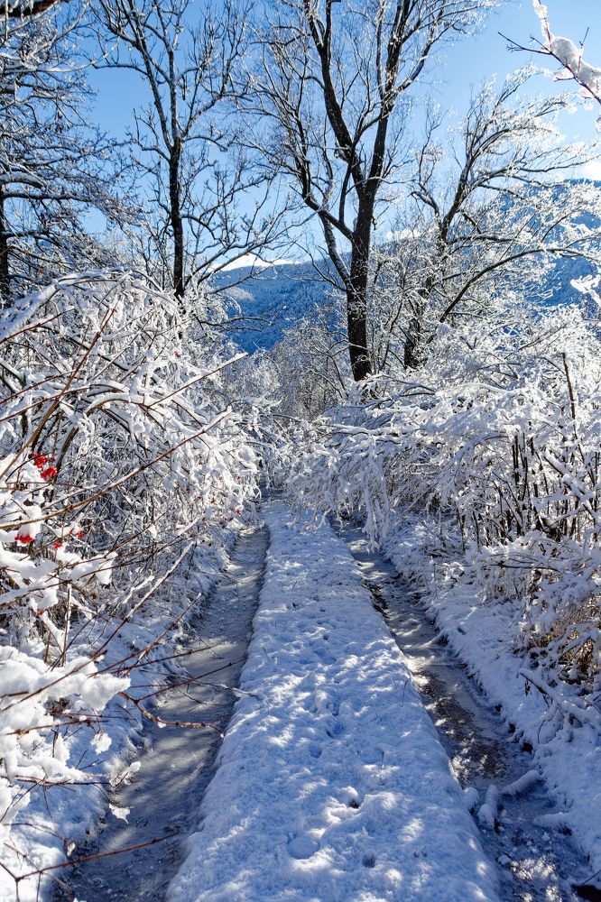 Photograph by zause01