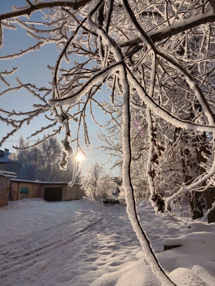 Photograph by Дарья Домбровская