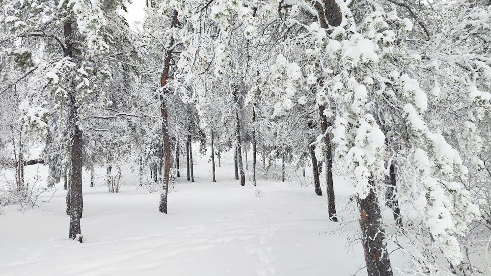 Photograph by JONATHAN VALDEZ