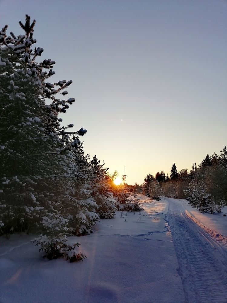 Photograph by Татьяна Бешенкина