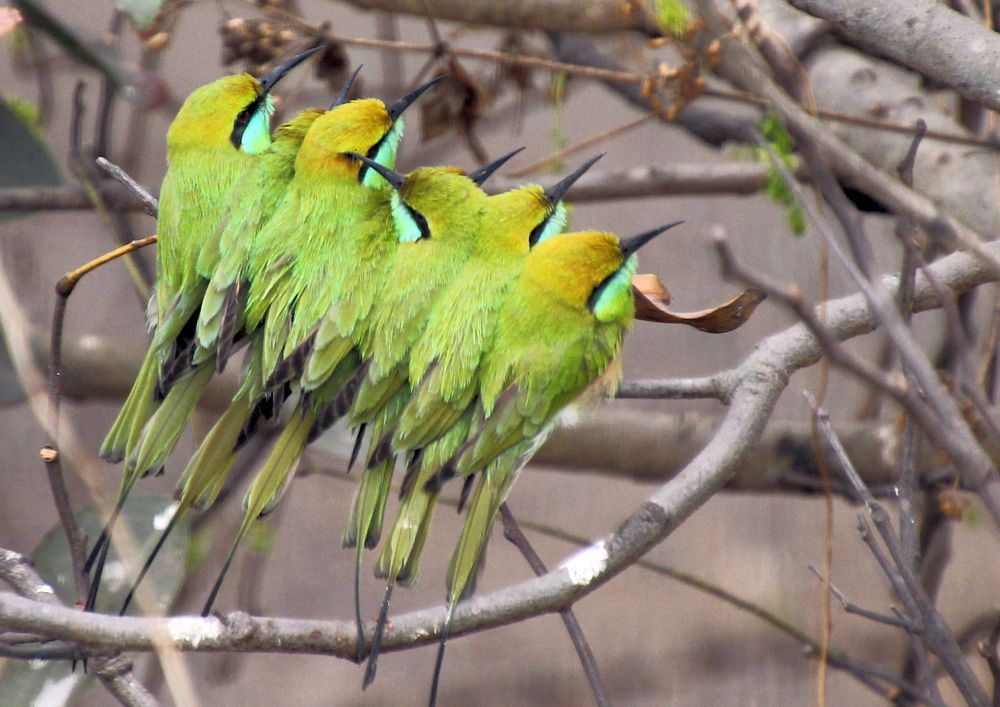 Photograph by subhash purohit