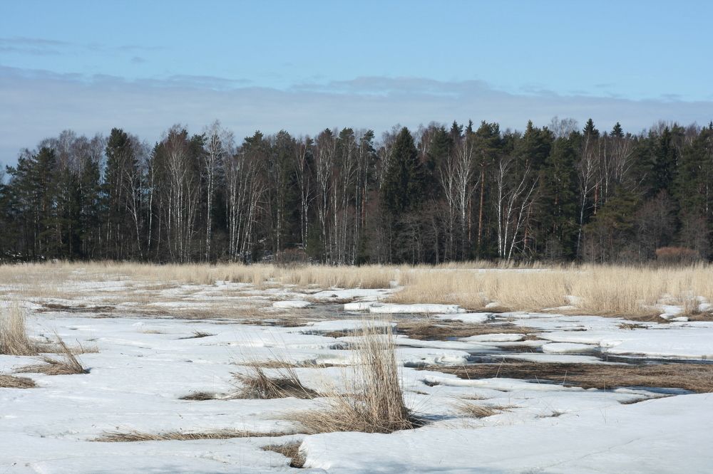 Photograph by Анна Голубова