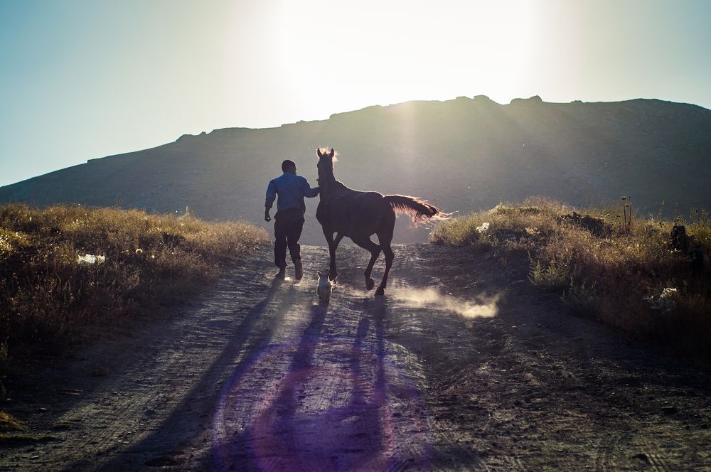 Photograph by mobin the abstract