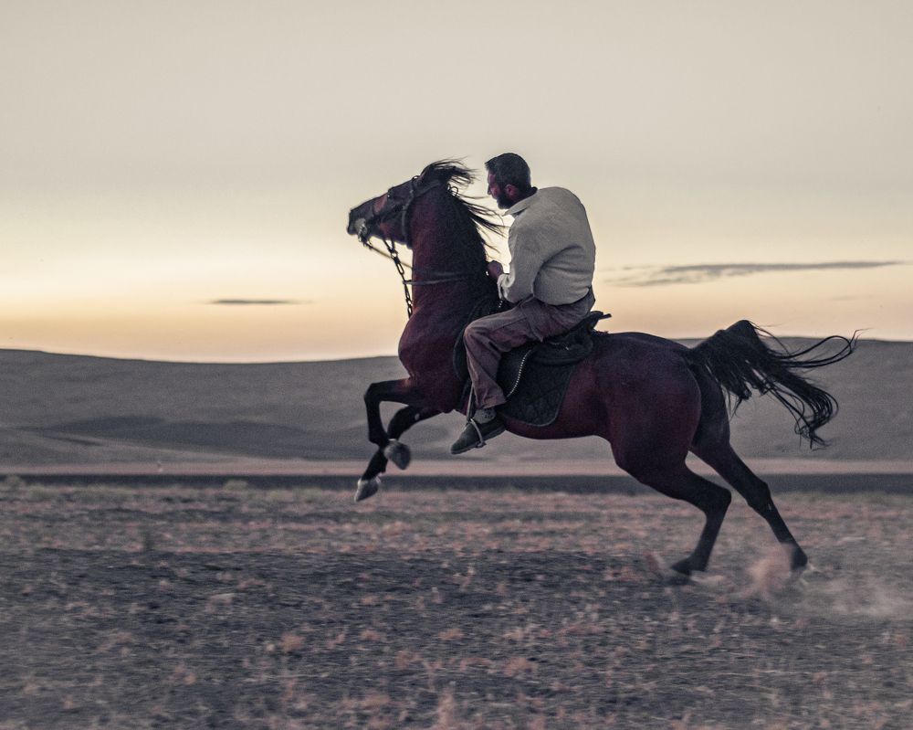 Photograph by mobin the abstract