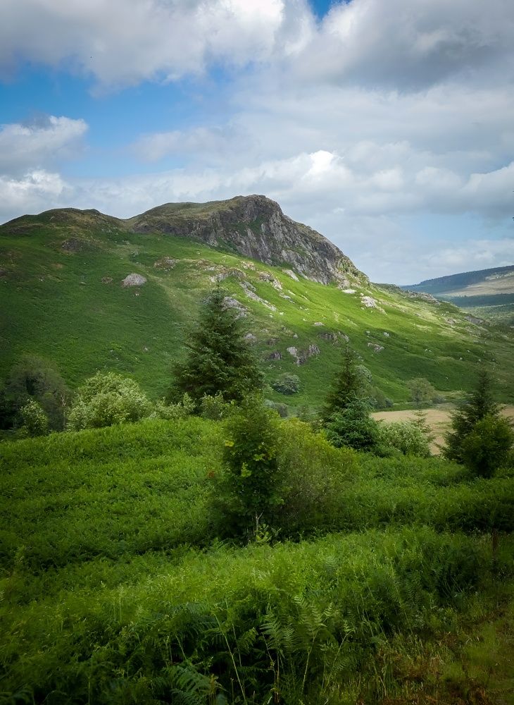 Фотография автора Michael Gault