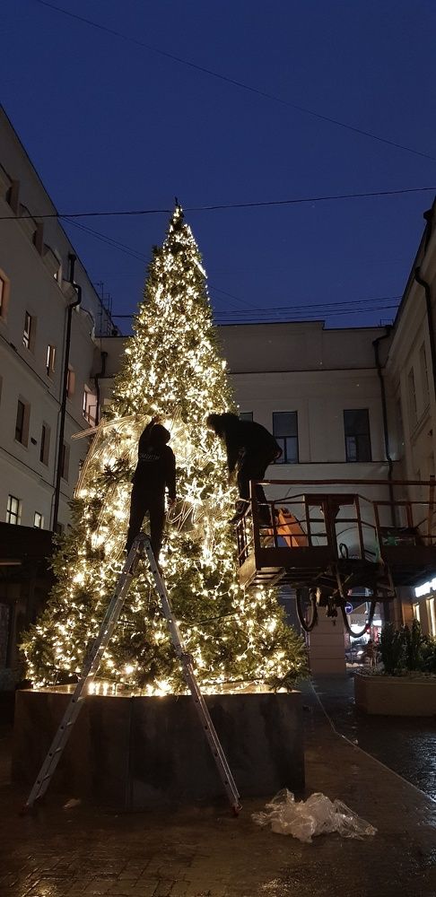 Фотография автора Ольга Мусина