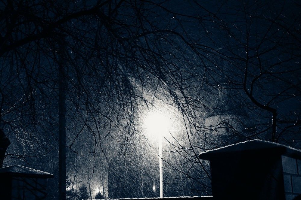 Photograph by Олег Коневских