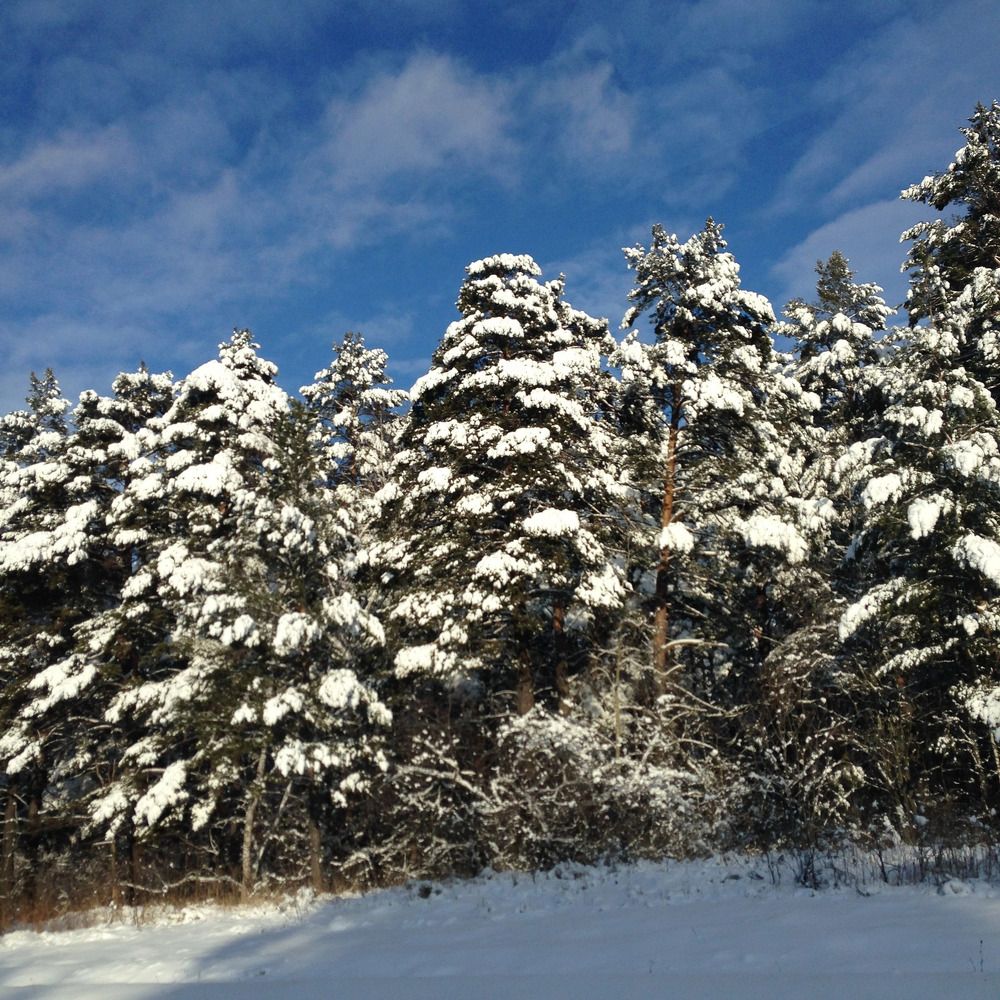 Photograph by Марина Захарова