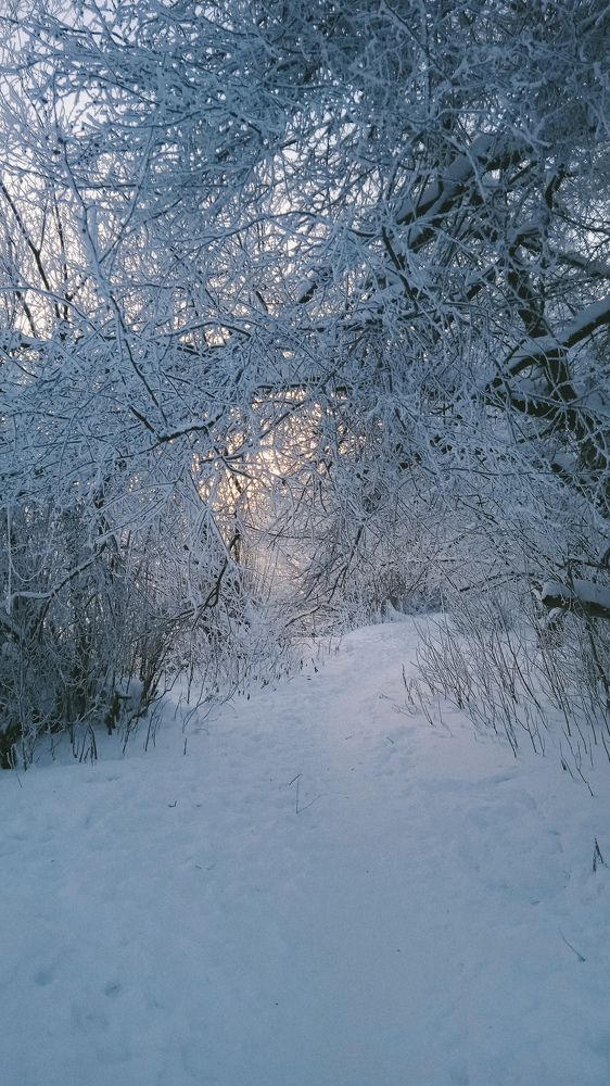 Photograph by Юлия Ипполитова