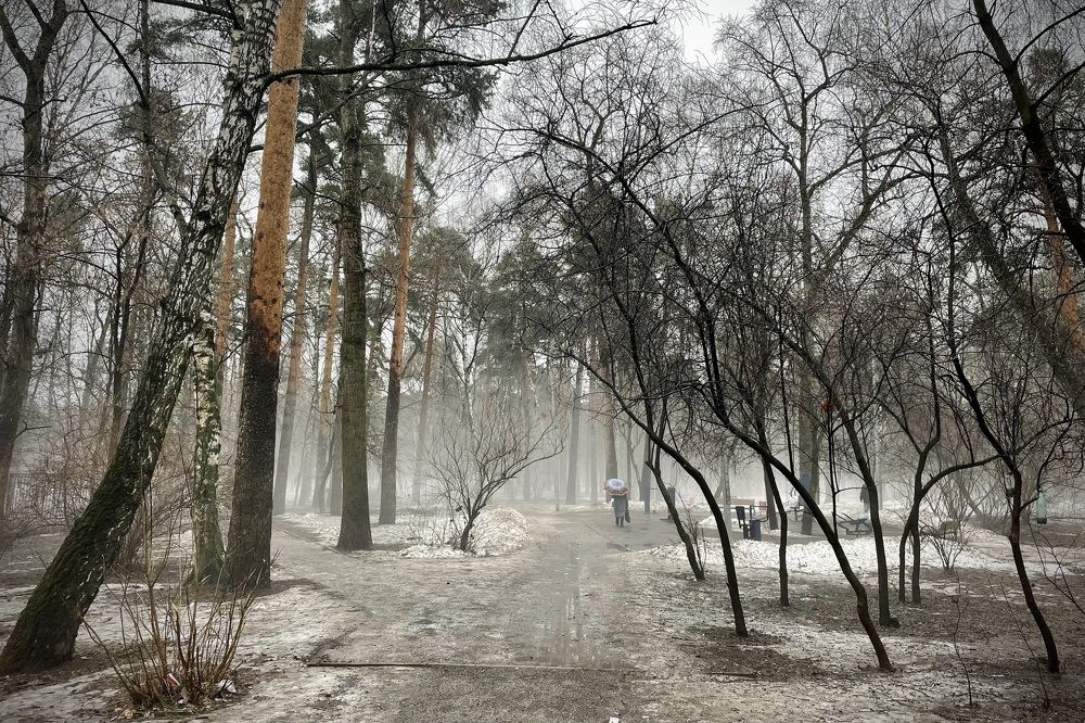 Photograph by Екатерина Шилкина