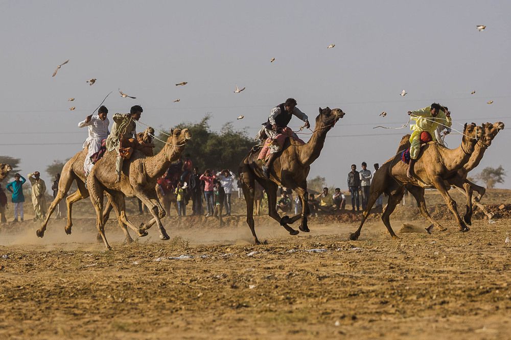 Photograph by Марина Маликова