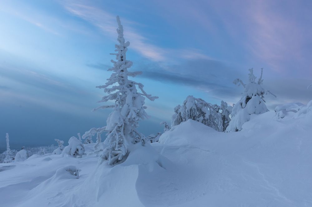 Photograph by Марина Маликова