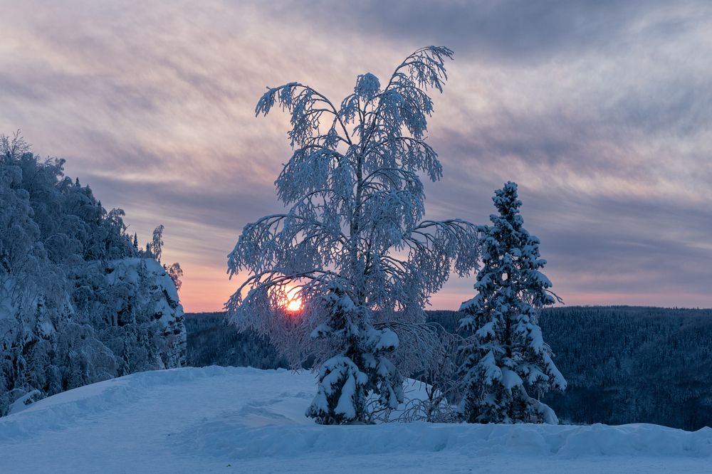 Photograph by Марина Маликова