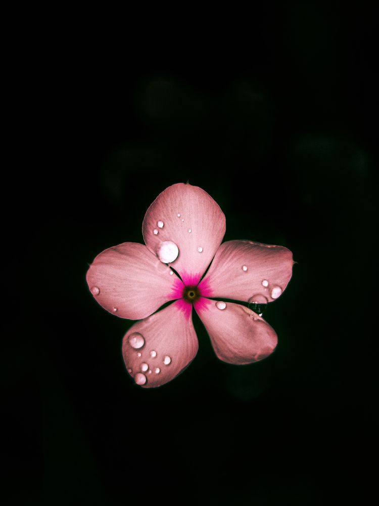 Photograph by Masoud Nikookalam