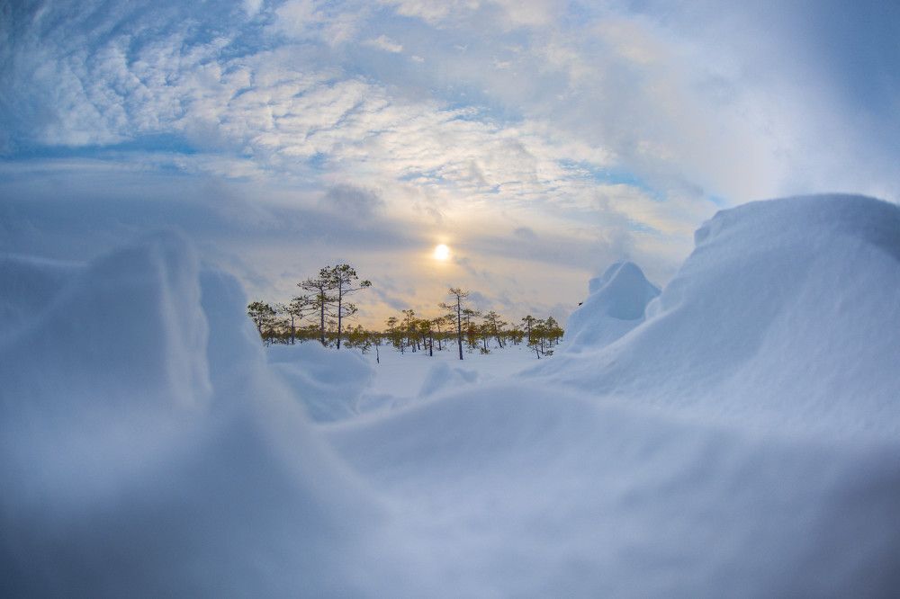 Photograph by Алексей Ильин