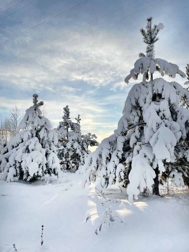 Photograph by Nadezda Yablokova