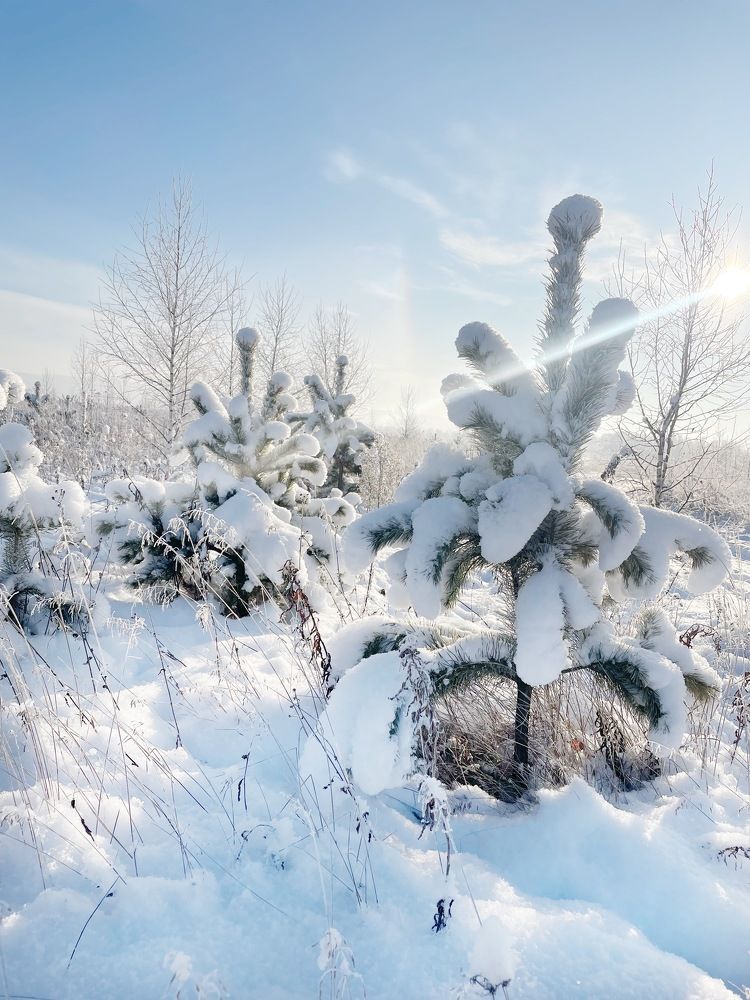 Photograph by Nadezda Yablokova