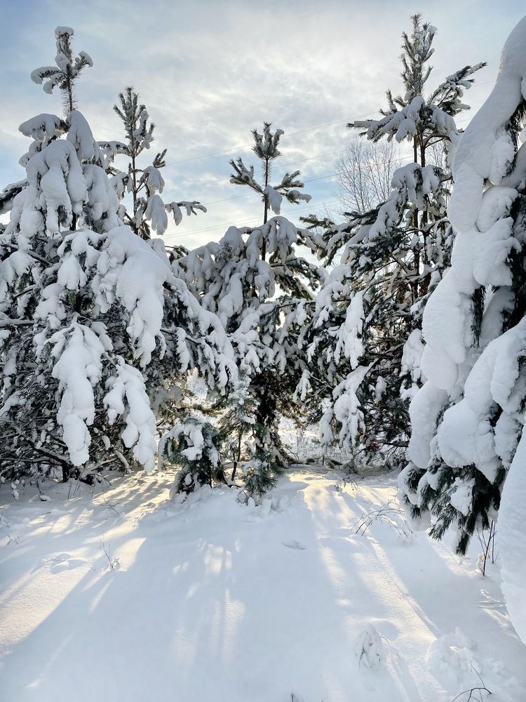 Photograph by Nadezda Yablokova