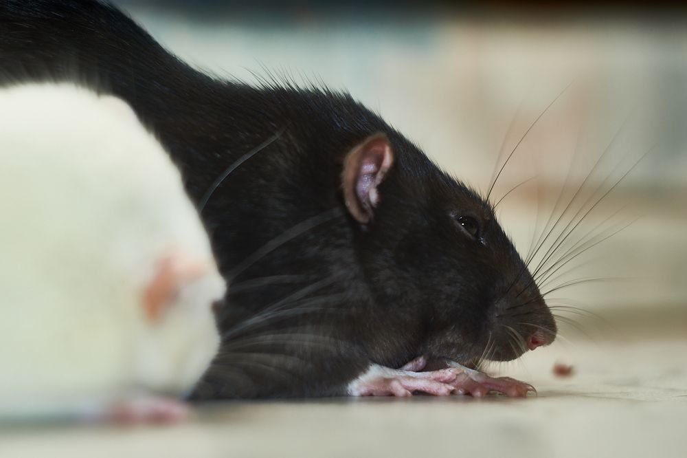 Photograph by Лариса