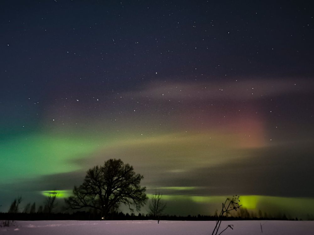 Фотография автора Олеся Непомнящих