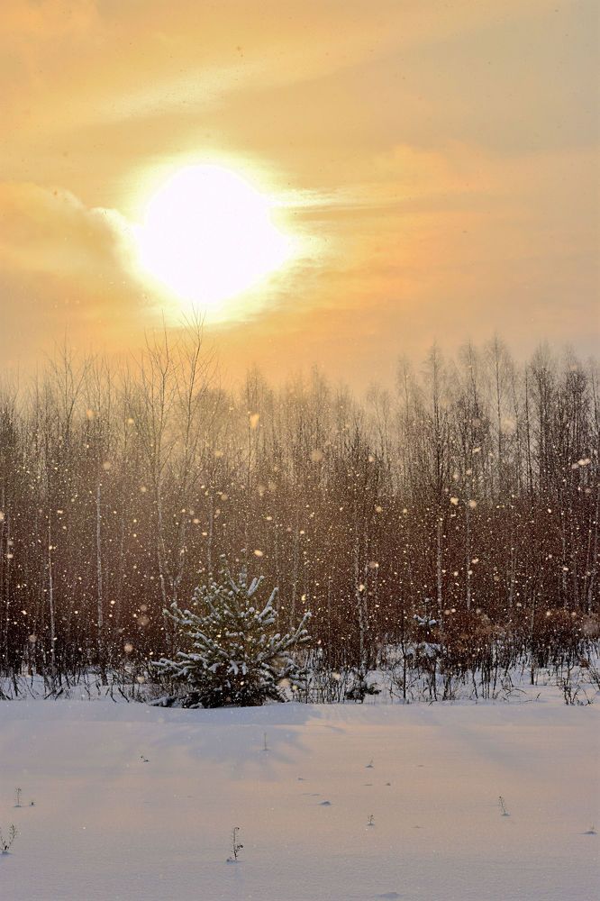 Photograph by Александр Шувалов
