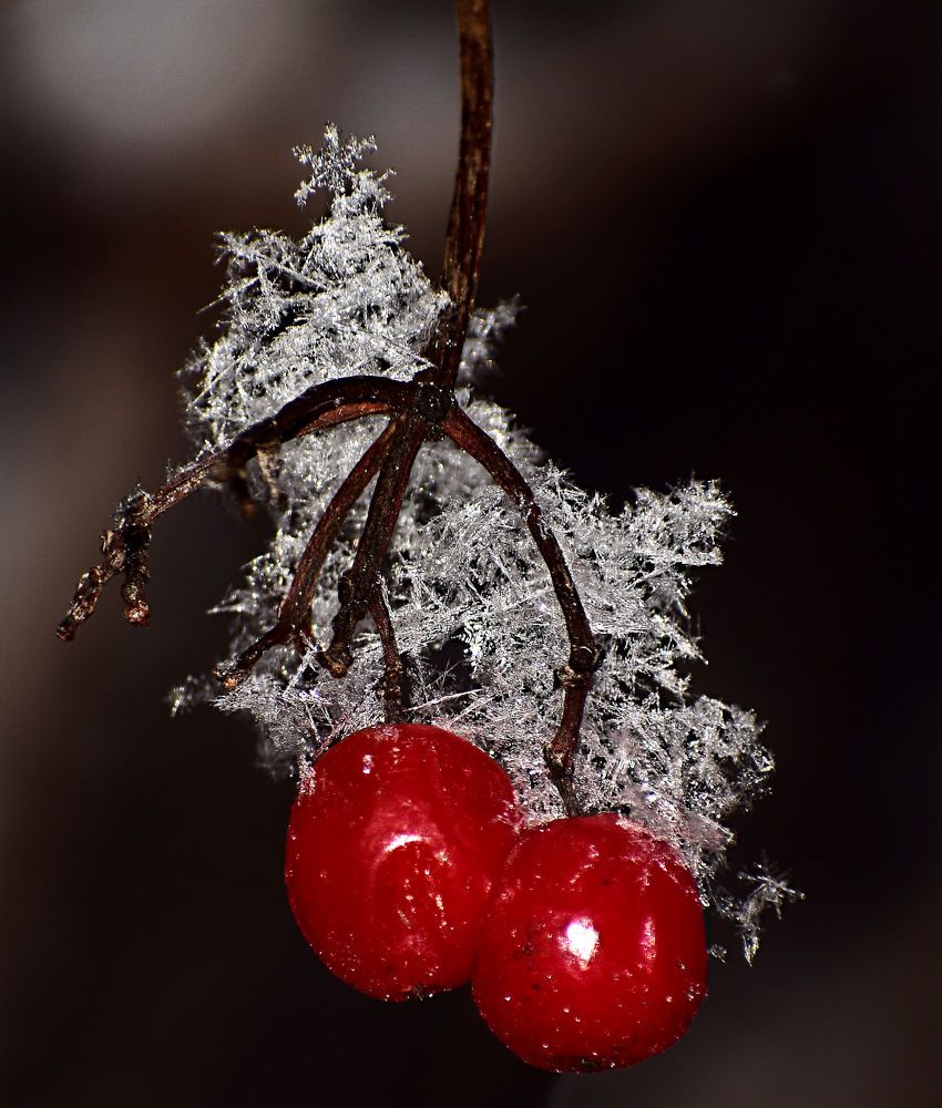 Photograph by Александр Шувалов