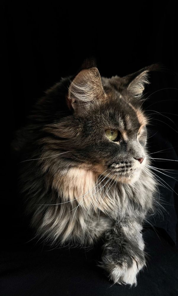 Photograph by Svetlana Kuzmenko