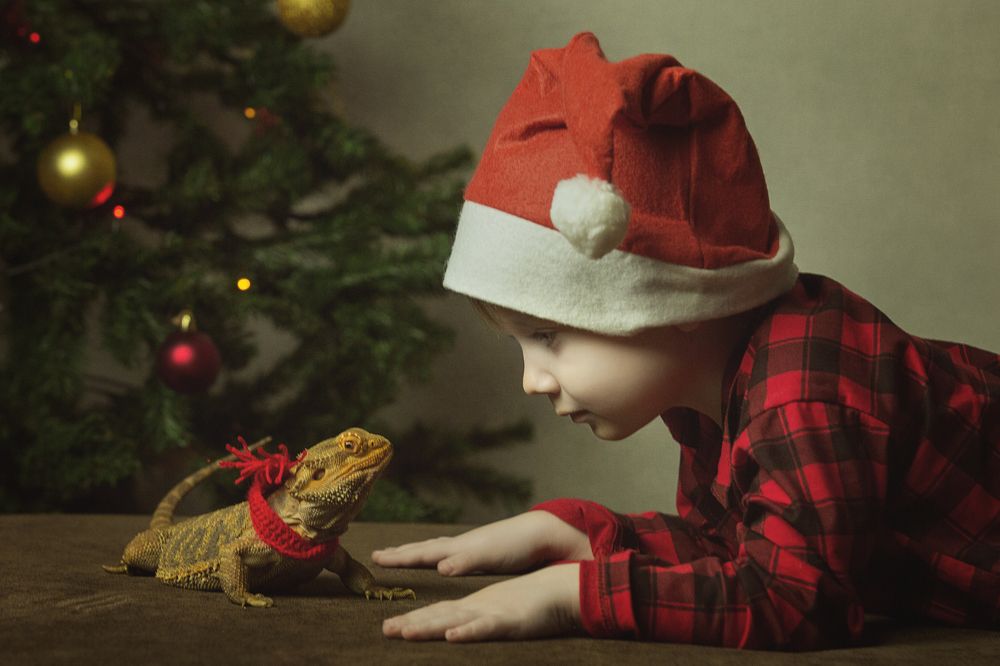 Photograph by Алена Журавлева