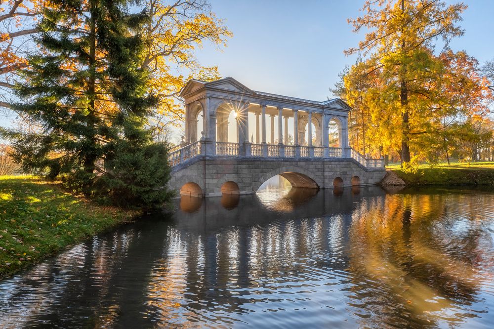 Фотография автора Александр Пашеничев