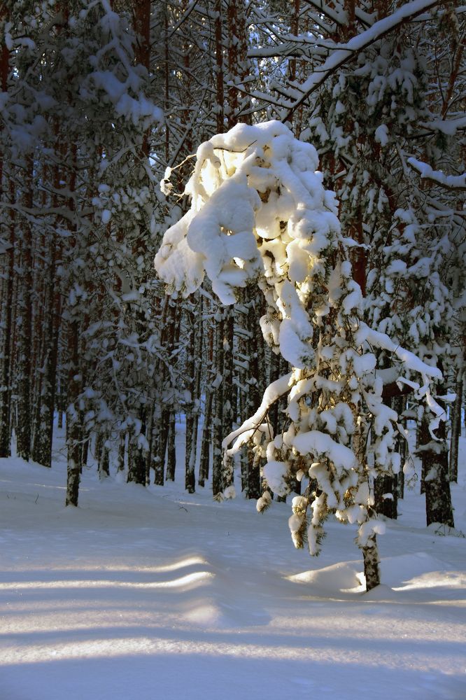 Снежный монстрик.